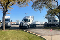 Fleet of white commercial semi-trucks parked under large trees in a logistics yard on a clear day
