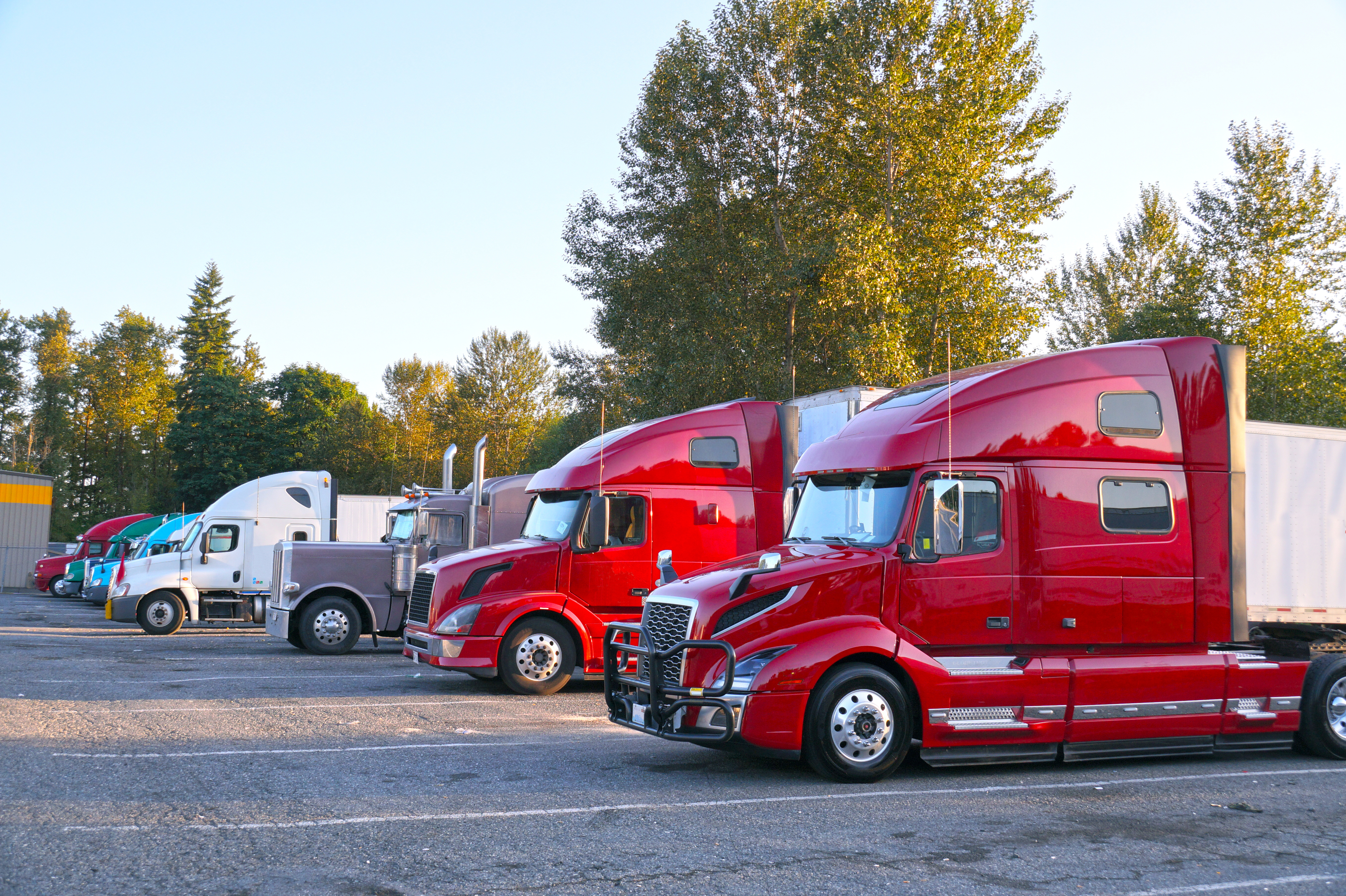 Fleet of red and white semi-trucks parked in outdoor lot with autumn trees in background